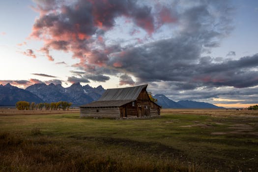 Teton Guitars